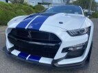 Thumbnail Photo 1 for 2020 Ford Mustang Shelby GT500